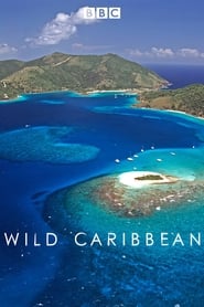 Wild Caribbean' Poster