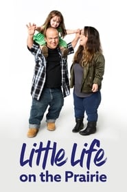 Little Life on the Prairie' Poster