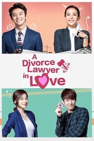 Divorce Lawyer in Love' Poster