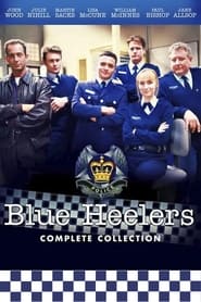 Blue Heelers' Poster
