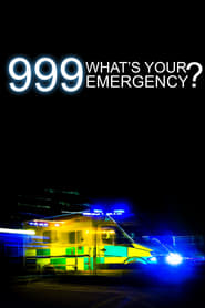 999 Whats Your Emergency' Poster