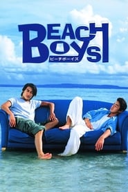 Beach Boys' Poster