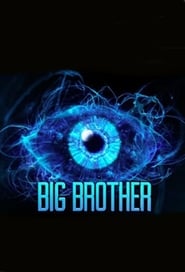 Big Brother Mxico' Poster