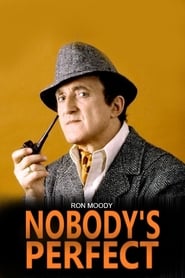 Nobodys Perfect' Poster