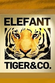 Streaming sources forElefant Tiger  Co