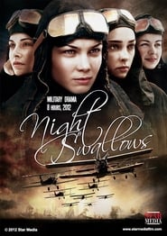 Night Swallows' Poster
