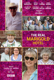 The Real Marigold Hotel' Poster