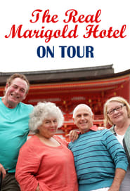 The Real Marigold on Tour' Poster