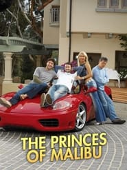 The Princes of Malibu' Poster