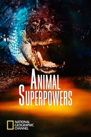 Animal Superpowers' Poster