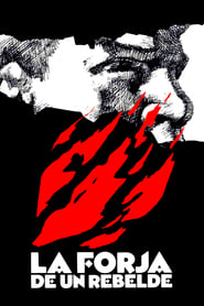La forja de un rebelde' Poster