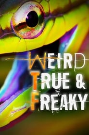 Weird True  Freaky' Poster