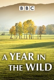 A Year in the Wild' Poster