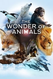 The Wonder of Animals' Poster