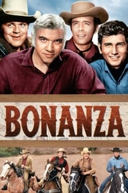 Bonanza' Poster
