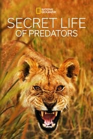 Secret Life of Predators' Poster