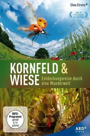 Kornfeld und Wiese  Entdeckungsreise durch eine Wunderwelt' Poster