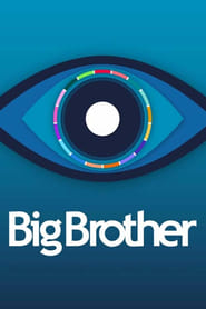 Big Brother' Poster
