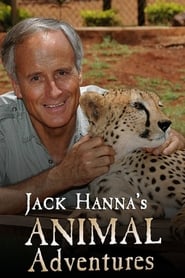 Animal Adventures' Poster