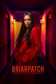 Briarpatch' Poster