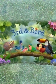 3rd  Bird' Poster