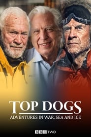Top Dogs Adventures in War Sea and Ice' Poster
