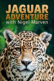 Jaguar Adventure with Nigel Marven' Poster