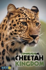 Cheetah Kingdom' Poster