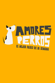 Amores Perros' Poster