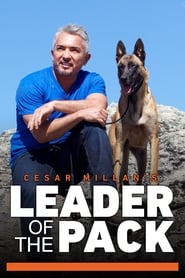 Cesar Millans Leader of the Pack' Poster