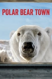 Streaming sources forPolar Bear Town