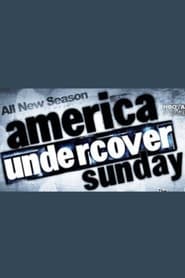 America Undercover' Poster