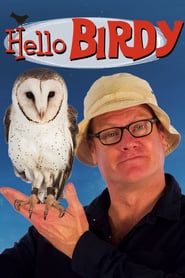 Hello Birdy' Poster