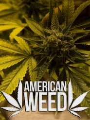 American Weed' Poster