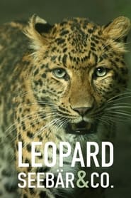 Leopard Seebr  Co' Poster