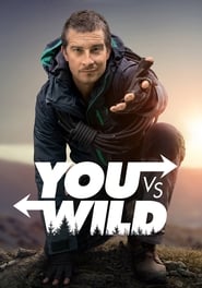 Streaming sources forYou vs Wild