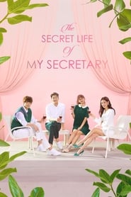 Streaming sources forThe Secret Life of My Secretary