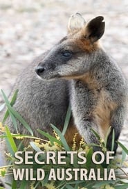 Streaming sources forSecrets of Wild Australia