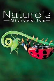 Natures Microworlds' Poster