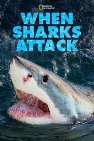 When Sharks Attack' Poster