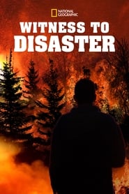 Witness to Disaster' Poster