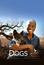 Dogs An Amazing Animal Family' Poster