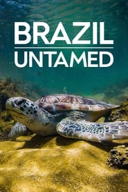 Brazil Untamed' Poster