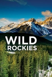 Wild Rockies' Poster