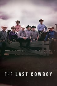 The Last Cowboy' Poster
