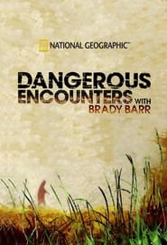 Dangerous Encounters' Poster