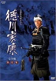 Tokugawa Ieyasu' Poster
