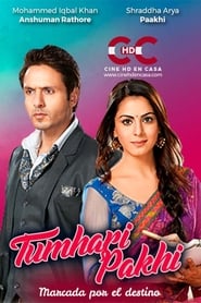 Tumhari Pakhi' Poster