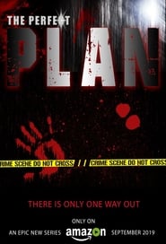 The Perfect Plan' Poster