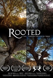 Rooted' Poster
